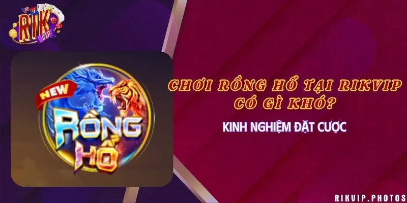 Chơi Rồng Hổ tại Rikvip có gì khó? Kinh nghiệm đặt cược